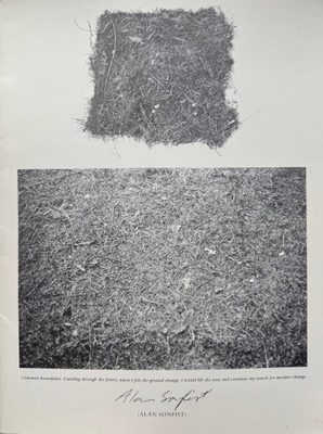 Cover of the book Alan Sonfist.