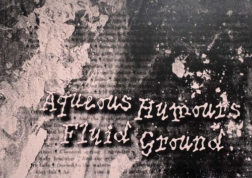 Cover of the book Aqueous Humours: Fluid Ground, in an amorphous, pink font on a textured, pink and black cover.