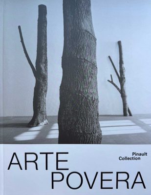 Cover of the book Arte Povera.