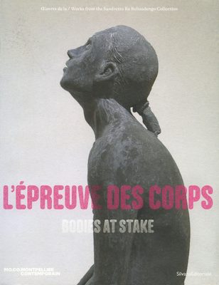 Cover of the book Bodies at Stake.