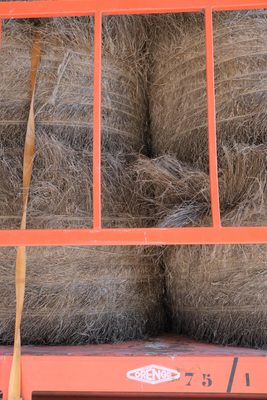 Bales of flax fibres ready for transport.