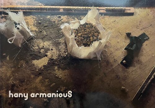 Cover of the book 'Morphic resonance : Hany Armanious', showing a wooden floor covered in detritus.