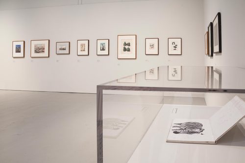 A white-walled gallery space, with several framed drawings of different sizes hung on the wall. Close to, there is a sketchbook with a drawing of a zebra in a perspex display case.