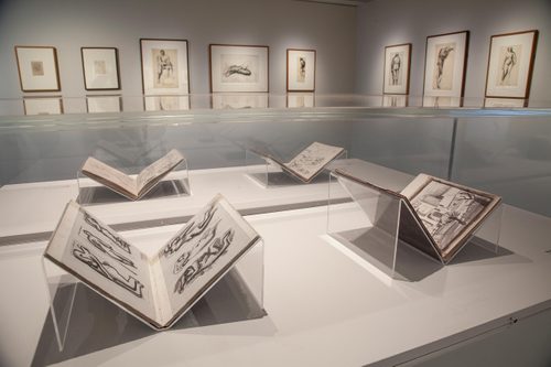 Four open sketchbooks in perspex display cases. On the walls behind there are several framed sketches of nude figures.