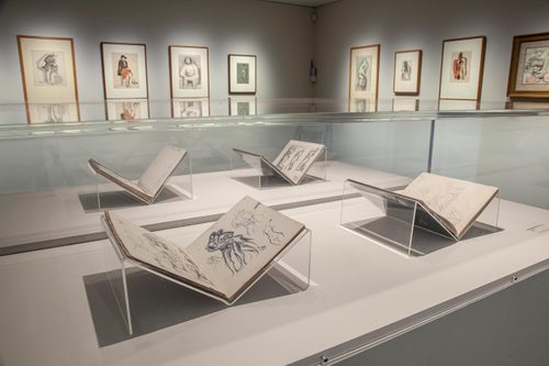 Four open sketchbooks in perspex display cases. On the walls behind there are several framed drawings of people.