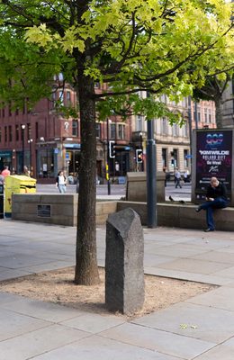 A slim tree trunk with a dark grey, roughly squared off column of rock about two feet tall next to it.