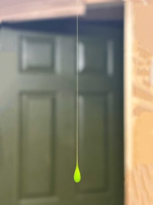 A bright green droplet suspended on a long, thin filament. A dark green door can be seen behind.