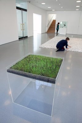 A cube of perspex about three feet to a side, with the top couple of inches filled with soil and grass; underneath is empty space. Behind it, two adults are looking at other artworks.