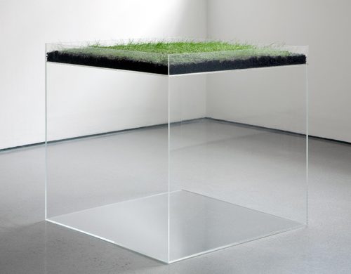A cube of perspex about three feet to a side, with the top couple of inches filled with soil and grass; underneath is empty space.