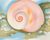 Painting of a pink spiral shell by Georgia O'Keefe.