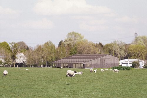 Architectural concept of gallery, styled like wooden barn with large glass windows. It sits in a field of sheep, with trees behind.