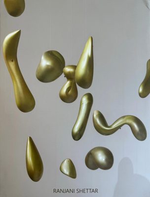 Cover of the book Ranjani Shettar.