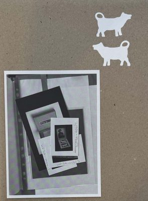 Cover of the book Susan Hiller: Working through objects. The cover mimics grey cardboard, with two white stickers of cows and a black and white photo of archival material.