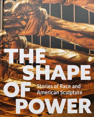 Cover of the book The Shape of Power: Stories of Race and American Sculpture.